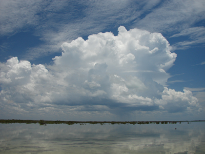 Las Salinas